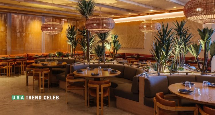 Elephante Scottsdale: A Complete Guide to Dining, Atmosphere, and Experience elephante-scottsdale